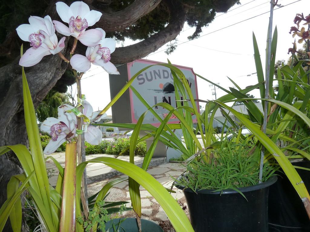 Sundown Inn Of Morro Bay Exterior foto